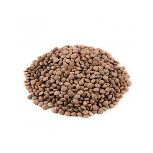 National Pardina Lentil Eco 25kg