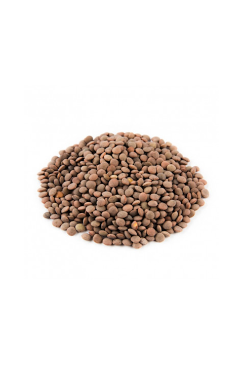 Lenteja Pardina Nacional Eco 25kg