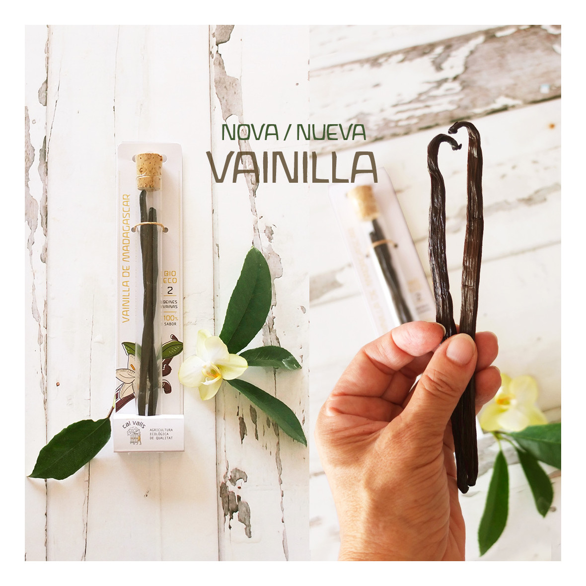 NEW! MADAGASCAR VANILLA